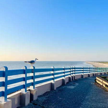 Vue Sur - App Cosy A 公寓